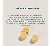 Gummies de creatina - 90 GUMMIES - 30raciones - Melocotón