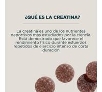 Gummies de creatina - 90 GUMMIES - 30raciones - Raspberry (Sugar-Free)