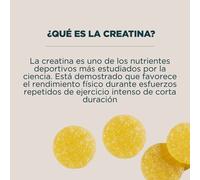 Gummies de creatina sin azúcar - 90 GUMMIES - 30raciones - Sandía