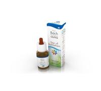 Guna Flores de Bach Star Of Bethlehem -10 ml