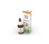 Guna Flores de Bach Wild Oat - 10 ml
