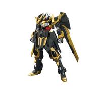 Gundam High Grade HGBF Model Kit 1/144 Schwarzritter Bandai