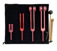 Gundhgstrr Juego de Diapasones de Resonancia de Aluminio para Instrumentos de Percusión Musical Terapéuticos.