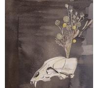 Gunn,Steve & Black Twig - Seasonal Hire (Clear Vinyl) [Vinilo]