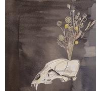 Gunn, Steve - Seasonal Hire [Vinilo]