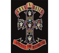 Guns N Roses apetito para la destrucción Póster 11 x 17 pulgadas 28 x 43 cm