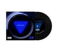 Guns N' Roses - Perhaps/The General