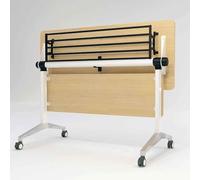 GUODDM Mesas Plegables para Reuniones Y Capacitación, Rectangulares Móviles De Oficina con Plegado Lateral, Escritorios Dobles para El Personal De Estudio, Diseños Modulares(1pcs,120 * 50 * 75CM)