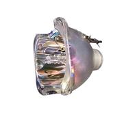 GUOFHUIO Lámpara de proyector Desnuda de Repuesto BP47-00041A for SA-MS SP-A800B SP-A900