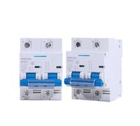 GUOQGXAY 1 Uds disyuntor de CC 2P Micro Interruptor de protección 12v-125v 80A/100A/125A/150A/200A/250A disyuntor de protección de batería Solar(80A)