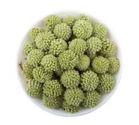 GUOZHAN 100/200 g de Velas de jabón para decoración del hogar, para Bodas, Rosas, Mariposas, orquídeas, manzanilla, Lavanda y jazmín, Mezcla de Flores secas.