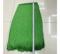 GUOZHAN Lote de 2 Metros de 50 cm/100 cm de Largo con Flecos de Encaje para Manualidades, Vestidos Latinos, escenarios, Ropa, Cortinas, Accesorios, Cinta.