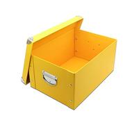 GUOZI Caja de almacenamiento plegable, caja de memoria decorativa con tapa y esquinas reforzadas de metal, contenedor de archivos de cartón con asas, caja de regalo organizadora para recuerdos,