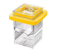 Guppy Breeder Box, flotante de incubación de marco transparente, divisor de pecera, de aclimatación de 300 g para peces madre, incubadora para cría de camarones, ideal para cuidado acuático