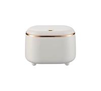 Gurlideo Cubo de basura con tapa, ovalado, verde menta con acento en oro rosa, 19 x 12,5 x 14 cm, plástico, pequeño cubo de basura para escritorio, baño, dormitorio (negro lechoso)