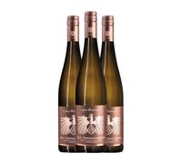 Gut Hermannsberg Just Riesling Seco Nahe 75 cl Vino blanco (Caja de 3 Botellas de 75 cl)