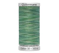 Gutermann 30 4015 - Hilo para bordado a máquina (300 m), multicolor