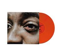 Guvna B - The Village Is On Fire [Vinilo]