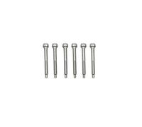 Guyker 6 Pcs String Lock Screws - Stainless Steel Lock Screw Compatible with FR Tremolo System Bridge Electric Guitar