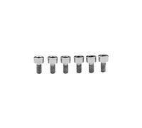 Guyker 6Pcs Saddle Bridge Mounting Screws - Titanium Screws Set Replacement Compatible with FR Tremolo System Electric Guitar