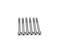 Guyker 6Pcs String Lock Screws - Titanium Alloy Locking Screw Set Replacement Compatible with FR Tremolo System Electric Guitar