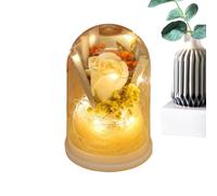 Gvblkq Flor para Siempre | Ramo de Rosas Eternas Dentro de una Cúpula de,Flores Preservadas con Luz,para Ella Regalo Mujer Cumpleaños Navidad San Valentín
