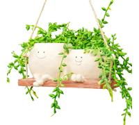 Gvblkq Plant Holder, Smile Basket Pot, Wall Flower Tool, High Adhesion Design, Integrated Balance Tech, Premium Aesthetic Hardware, Modern Compact Model For Window Outdoor Living Kitchen