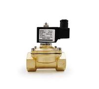 GVEXLUOQ 1/4 3/8 1/2 3/4 1 Inch Normally Close Brass Electric Solenoid Valve DN15 DN20 12V/24V/220V/110V for Water Oil Air IP65(Ac110v,DN25)