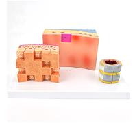 GVNFJKJK Modelos anatómicos Humanos, Modelo anatómico laríngeo de la Pared traqueal - anatomía tráquea Humana ampliada 3 Partes for Ayuda a formación educativa médica