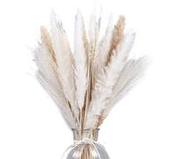 Gvvsjgdbis 70 PCS Hierba de Pampa Secada Decor de Mesa Boho - Hasta 18 Pulgadas de , Rústico a Granel Casa Decoración de Fiesta de Boda