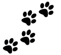 Gwill 8 cm 8 piezas Animales gato huellas vinilo divertido adhesivo motocicleta Auto adhesivo negro