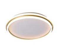 GWJKG White LED Lights, Circular Corridor 3000k-6000k Dimmable Eye Protection Ceiling Light Wall Lamp Acrylic Flush Mount Lighting Fixture for Home Hotel Bedroom Study Living Room (Siz