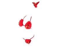 GWJKG Women Lingerie Anime Lingerie Red Cute Bikini Bunny Girl Outfit