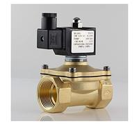 GWLQBJLHH Válvula Válvula solenoide Normalmente Cerrada Válvula de Agua IP65 Bobina Completamente Cerrada AC220V DC12V DC24V G3/8" G1/2" G3/4" G1 G1-1/4 G1-1/2(12v,0.5 Inch)