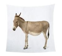 GXBDYD Mantas para Cama De Franela Invierno para Infantil Y Adulto 130X150cm Manta Polar De Felpa De Microfibra Suave para Sofá, 3D Lindo Animal Burro Patrón, Cálida Y Transpirable