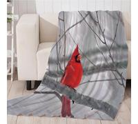 GXBDYD Mantas para Cama De Franela Invierno para Infantil Y Adulto 80X150cm Manta Polar De Felpa De Microfibra Suave para Sofá, 3D Lindo Animal Pájaro Rojo Patrón, Cálida Y Transpirable