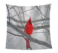 GXBDYD Mantas para Sofa 3D Lindo Animal Pájaro Rojo Impresión Patrón 150X200cm Mantas para Cama Invierno De Franela para Adulto, Mantas Ligeras De Microfibra, Suave Cálido, Fácil De Limpiar