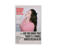 GYBDNS Lana Del Rey Did You KnowArt - Álbum de pintura en lienzo para pared, arte de música hip-hop, pintura al óleo, lienzo decorativo, 30 x 45 cm, estilo sin marco, 36