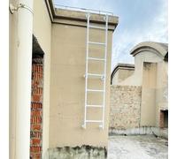 GYEQXKT Escalera de Techo Exterior Resistente de 170 cm, Escalera de Escape de Incendios para sótano, Pozo de Ventana de Salida, Escalera de litera de ático montada en la Pared, Color blan