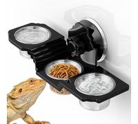 GYJZZW Crested Gecko - Plato de comida todo en uno, repisa de alimentación de gecko, plato de agua para reptiles con tazas, para alimentos de reptiles, agua/suplementos, diseño de ventosa fuerte