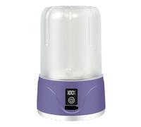 GYLFZDQ Lavadora de Ropa Interior, Lavadora portátil pequeña, Lavadora portátil pequeña con Modos de Limpieza Ajustables para Ropa de bebé, Ropa Interior, Calcetines Purple,13 * 13 * 21CM