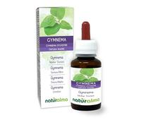 Gymnema (Gymnema sylvestre o Marsdenia sylvestris) hojas Tintura Madre sin alcohol Naturalma - Extracto líquido gotas 60 ml - Complemento alimenticio - Vegano