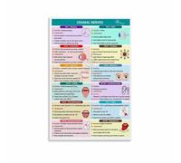 GYQYJPFZM 12 Cranial Nerves Nursing Cheat Sheet Canvas Wall Art Poster for Home Decor(Unframed,12x18inch(30x45cm))