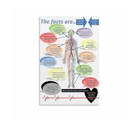 GYQYJPFZM Mouth Body Connection Infographic Metal Tin Sign Oral Health Systemic Wellness Guide for Clinic Health Classroom Wall Decor 8 X 12 in