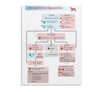 GYQYJPFZM Veterinary Professional Poster CPR Algorithm and Emergency First Aid Guide Small Animal Critical Care Chart for Hospital ER 8 X 12 in