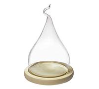 GYQZC Cúpula Puntiaguda de Vidrio con Base Cubierta de Cloche para Fumar, para Platos, Cuencos y Vasos Cubierta de Comida Infusor de Humo Infusión para Fumar Fumador (Size : 15 * 25cm)