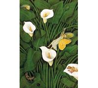 GYTRI CGFHJ Cartel abstracto de Diego Rivera Cuadro en lienzo 《Hada en el jardín de caliles》De Diego Rivera Colección de Arte Mural para Regalos de Decoración del Hogar 40x60cm Sin enmarcar