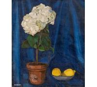 GYTRI CGFHJ Cartel de Tamara De Lempicka Impresiones a color《Planta en maceta y limón》Arte mural abstracto de Tamara De Lempicka Pintura en lienzo para decoración del hogar 40x50cm sin enmarcar