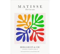 GYTRI CGFHJ Henri Matisse Póster e impresiones Cuadro abstracto de arte mural《Hoja de coral de cuatro colores》Henri Matisse Plantas Pintura en lienzo para decoración del hogar 40x60cm Sin marco