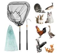 GZGXKJ 3 Piezas Sacadera Pesca EláStico Cazamariposas Desmontable Red Pesca con Gancho de Acero Inoxidable Red Pesca Niños para Aves de Corral Pollos Pavos Gansos Patos Pájaros Animales